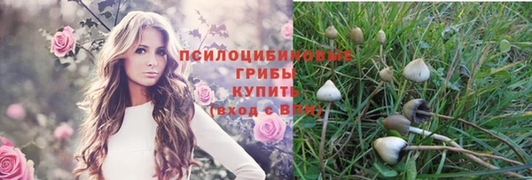 тгк Вяземский