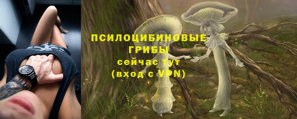 apvp Вязники