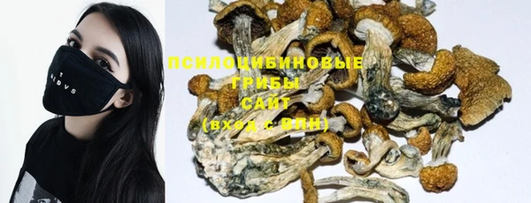 тгк Вяземский