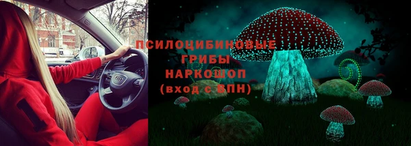 тгк Вяземский