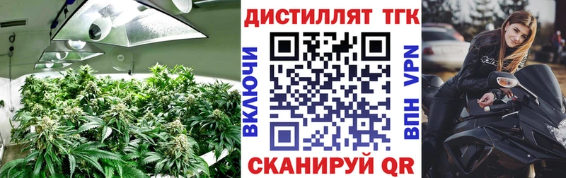ТГК Wax  Яранск 