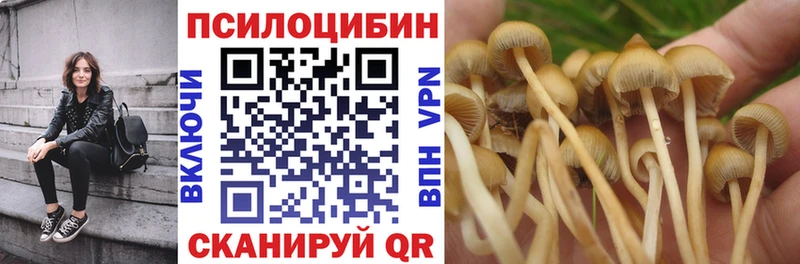 blacksprut онион  Яранск  Галлюциногенные грибы Psilocybine cubensis 